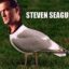 Steven seagull stole my testicle